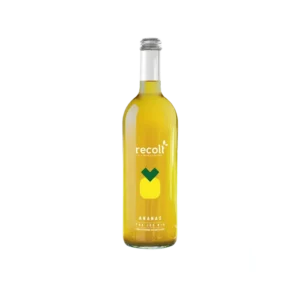Pur jus de fruits Recolt Ananas Bio